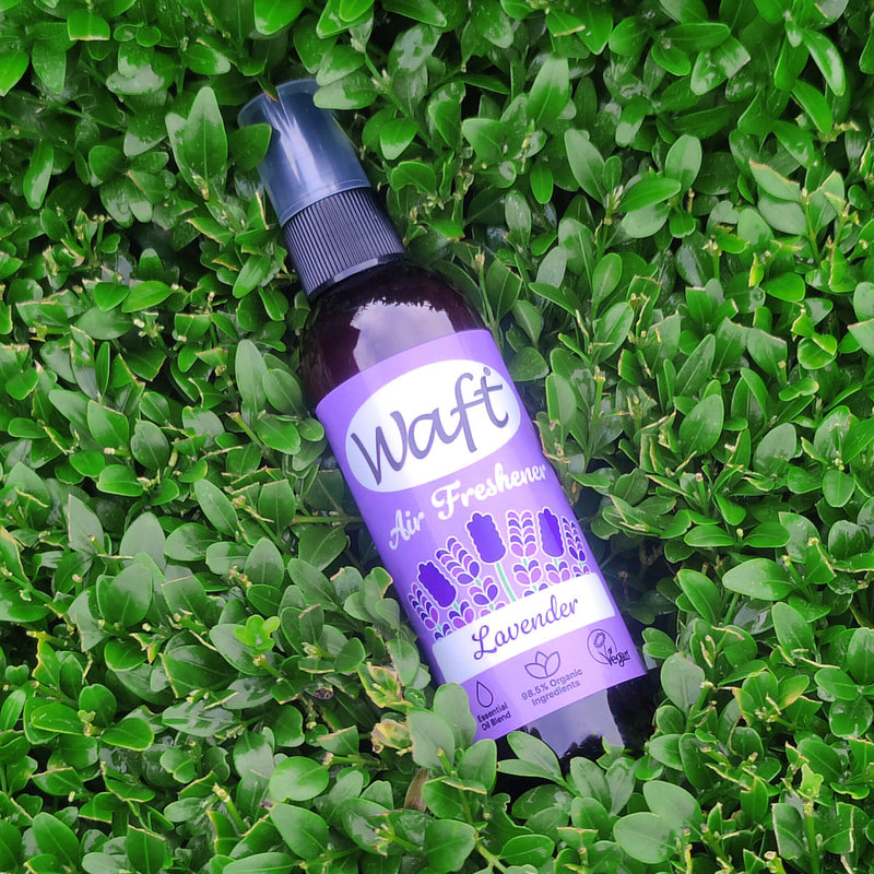 Air Freshener Spray Lavender 100ml