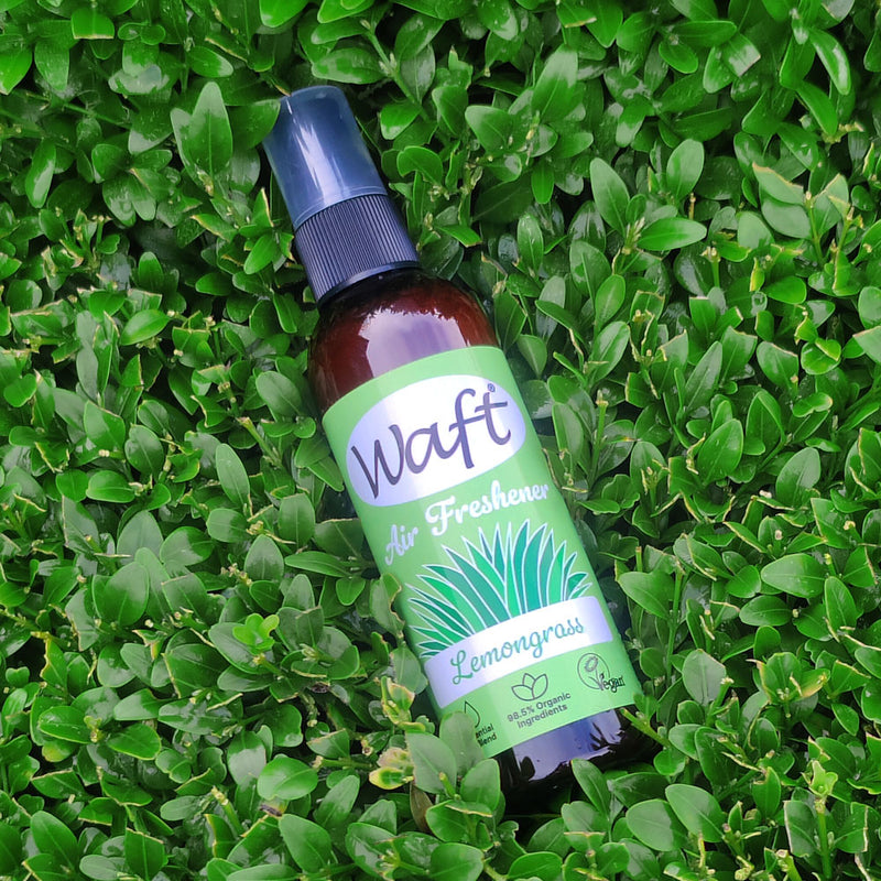 Air Freshener Spray Lemongrass 100ml
