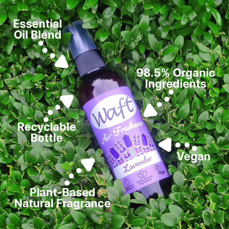 Air Freshener Spray Lavender 100ml