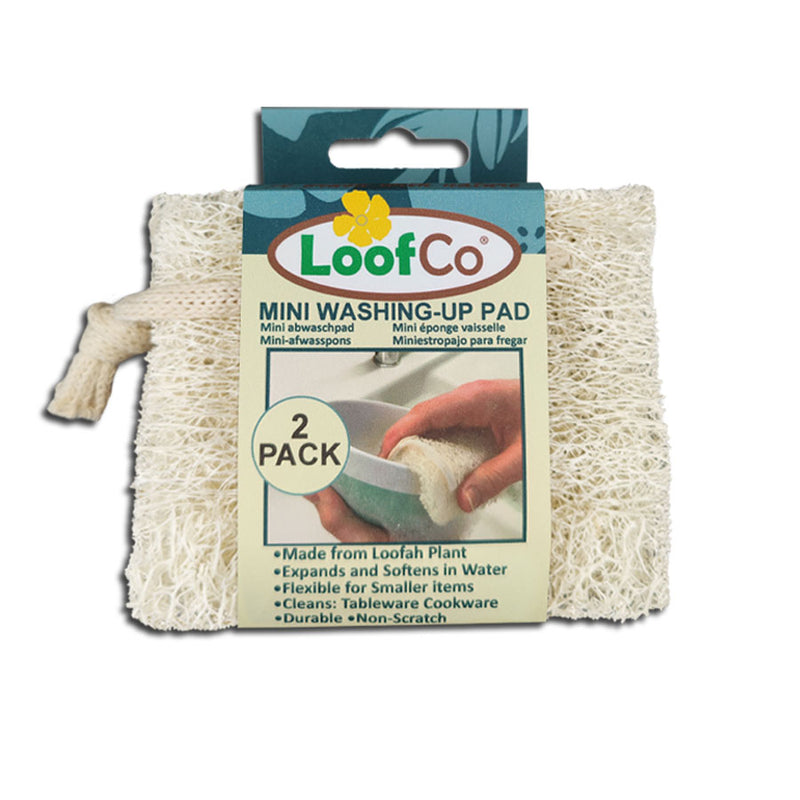 Mini Washing-Up Pad 2-Pack