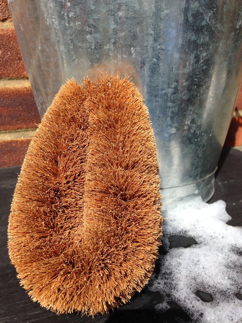 Scrubbing Brush