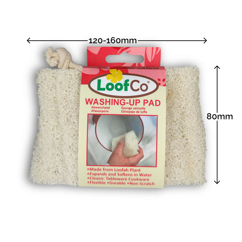 Washing-Up Pad