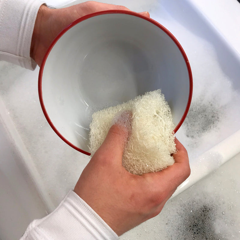 Washing-Up Pad 2 Pack