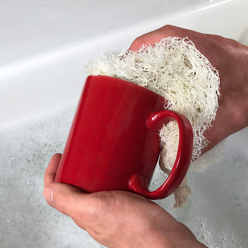 Washing-Up Pad 2 Pack