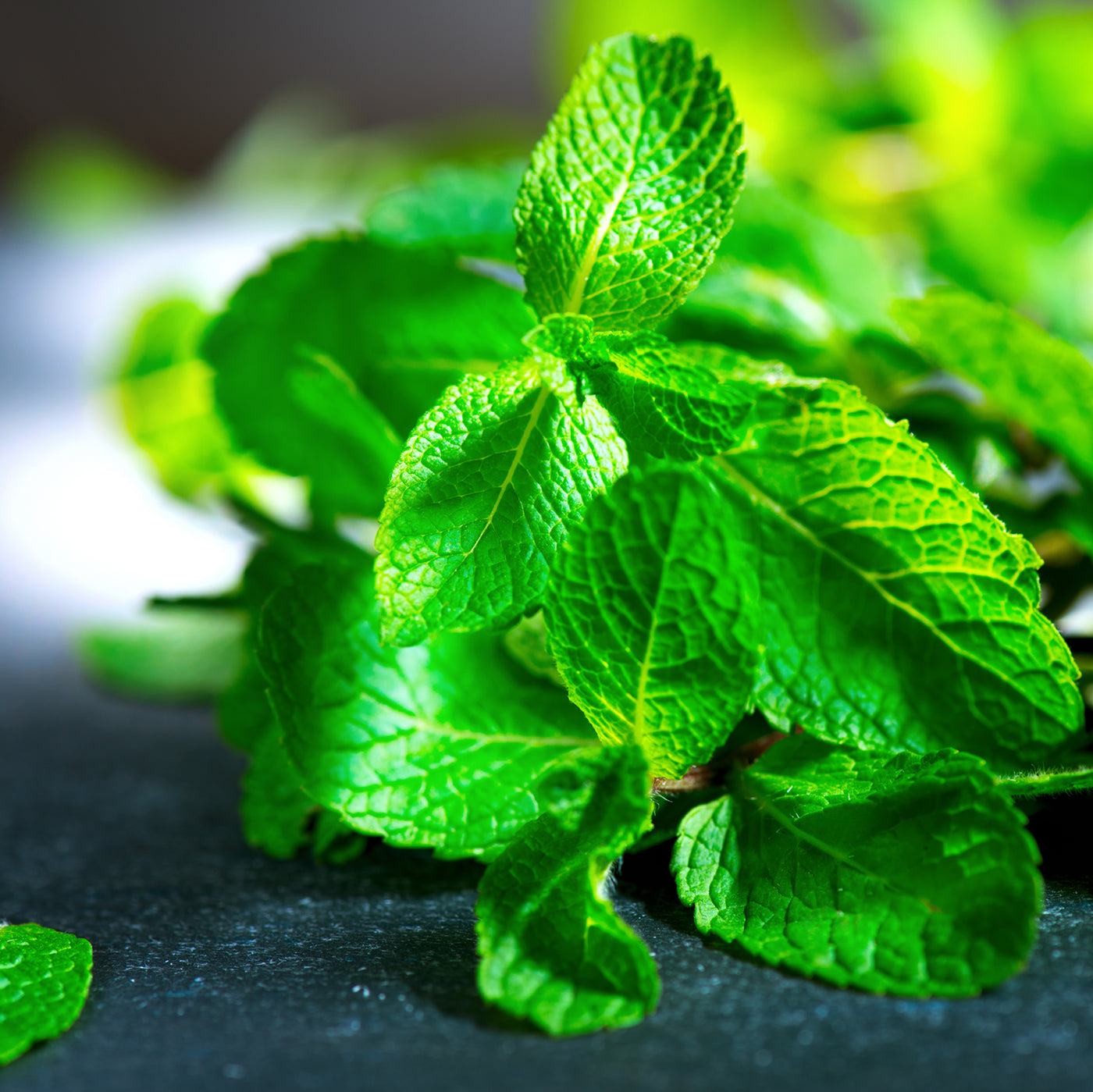 Keep Your Cool with Peppermint Oil