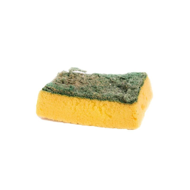 What’s Living in Your Plastic Kitchen Sponge?