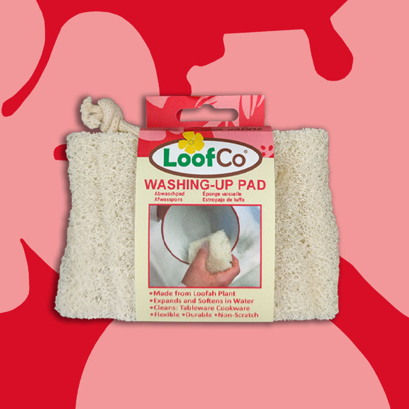 loofah pad on red background with eco logos