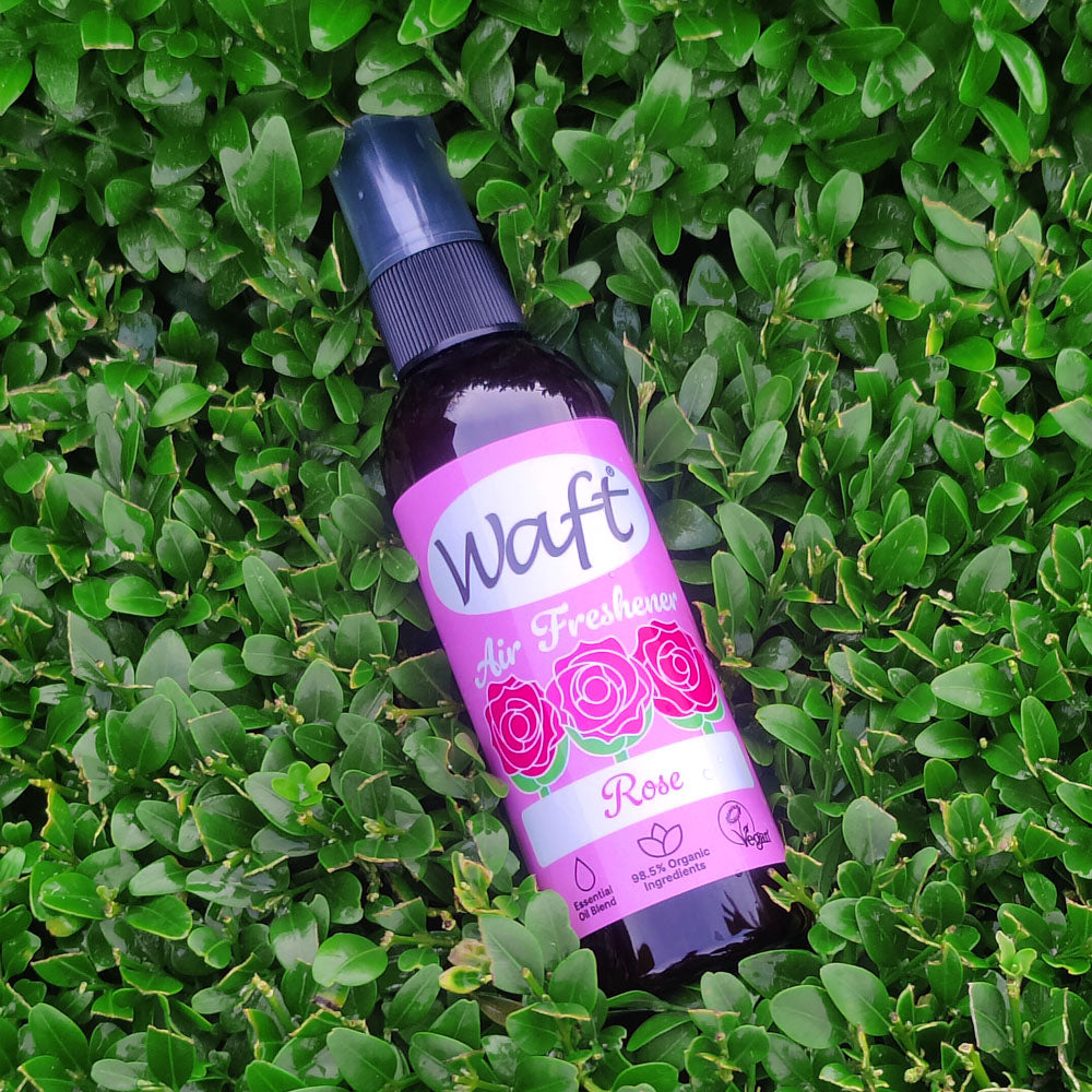 Brown bottle of Waft Rose Air Freshener with pink label on green leaf background