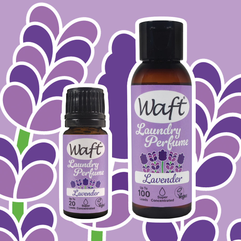 Waft Laundry Perfume | Lavender | 50ml | 100 Washes – Concentrated Laundry Scent