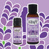 Waft Laundry Perfume | Lavender | 50ml | 100 Washes – Concentrated Laundry Scent
