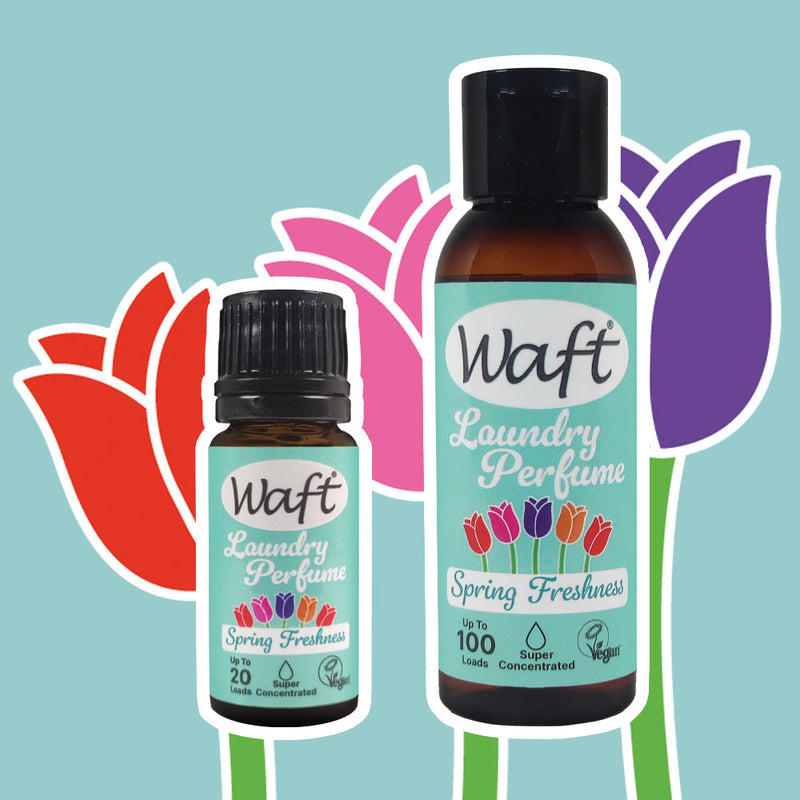 Concentrated Laundry Perfume in Spring Freshness 50ml (100 Wash)