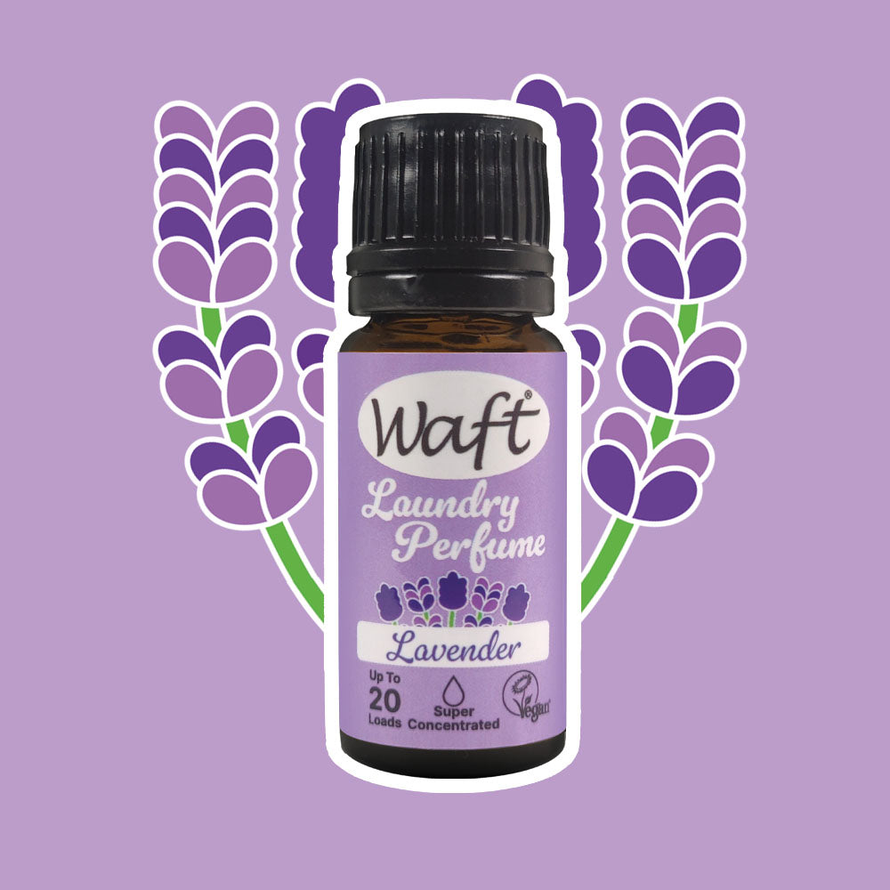 Laundry Perfume | Lavender 10ml | 20 Wash