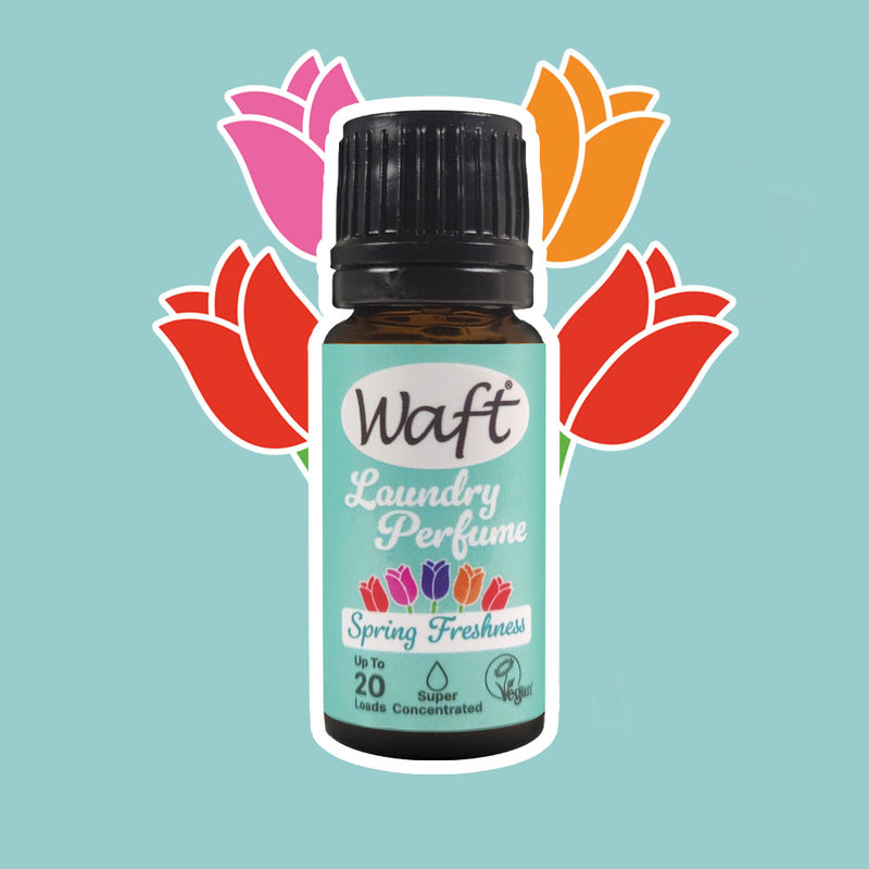 Concentrated Laundry Perfume in Spring Freshness 10ml (20 Wash)