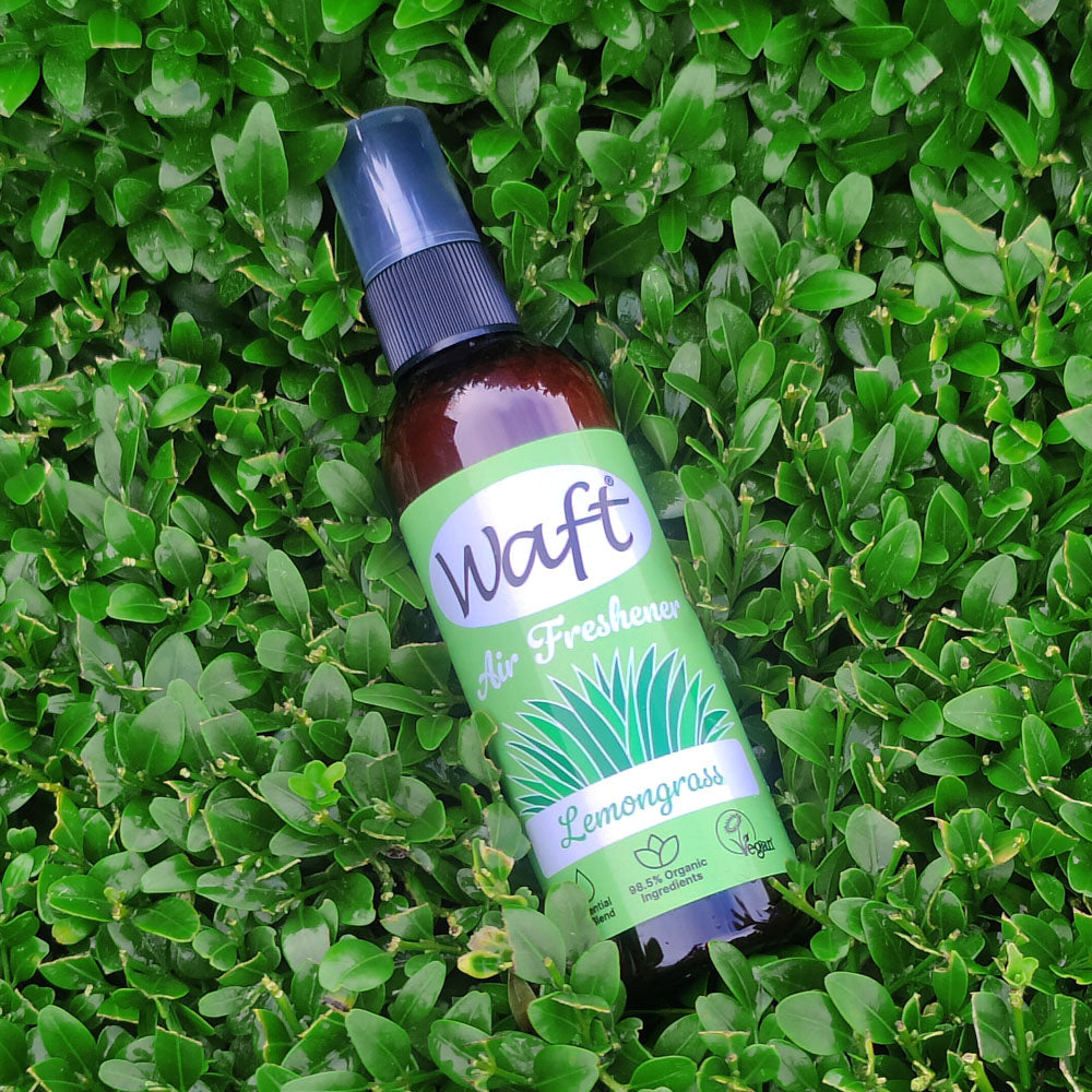 Waft lemongrass Air Freshener on green leaf background
