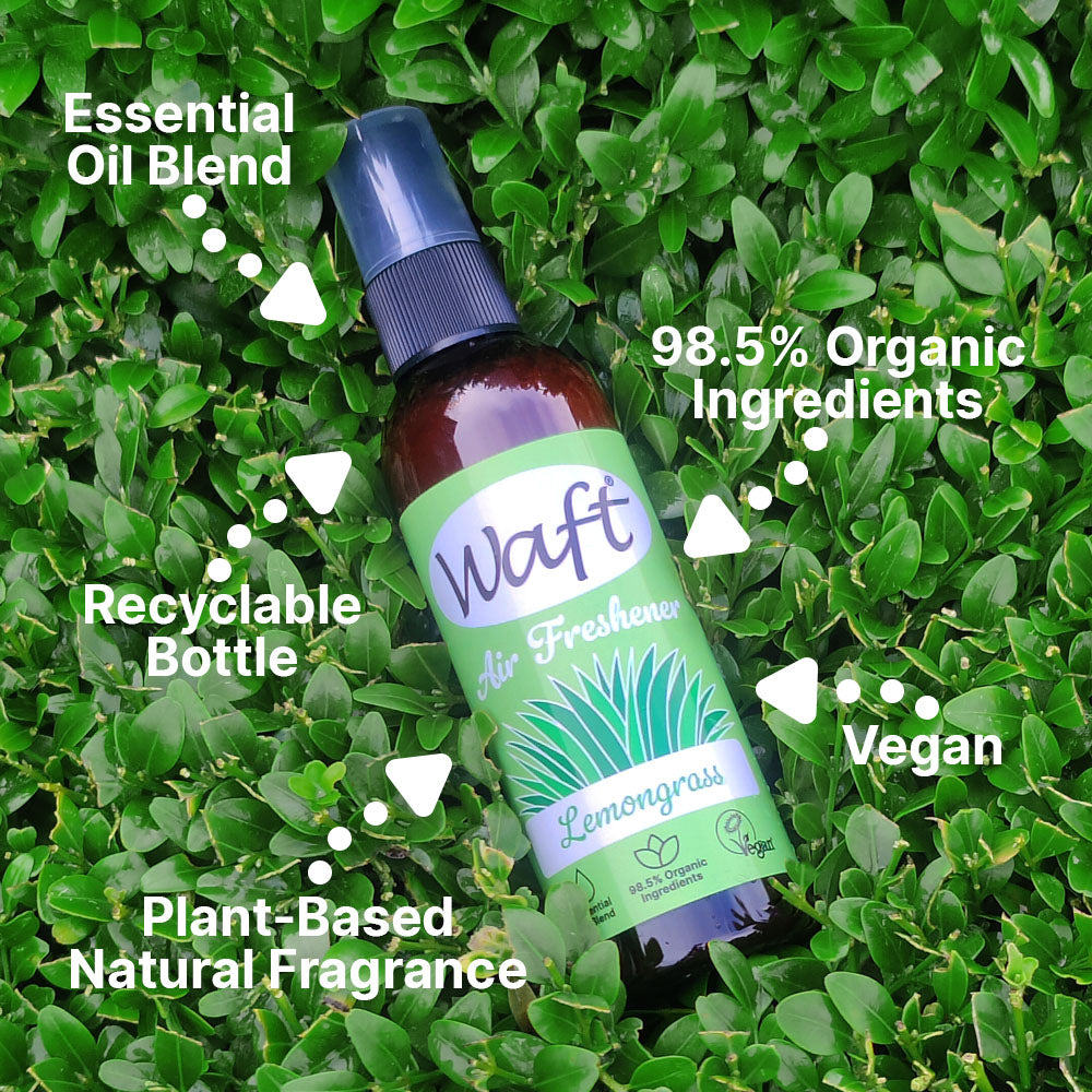 Lemongrass air freshener in brown bottle with green label on green leafy background
