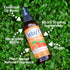 Waft Sweet Orange Air Freshener in a brown bottle on a green leafy background