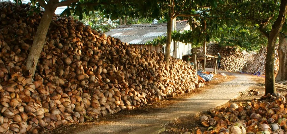 image of a pile of coconut husks