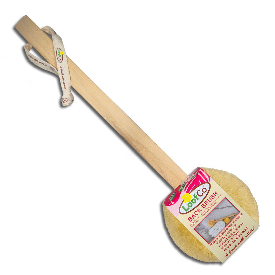 Back brush with wooden handle and natural bristles on a white background, featuring LoofCo branding.