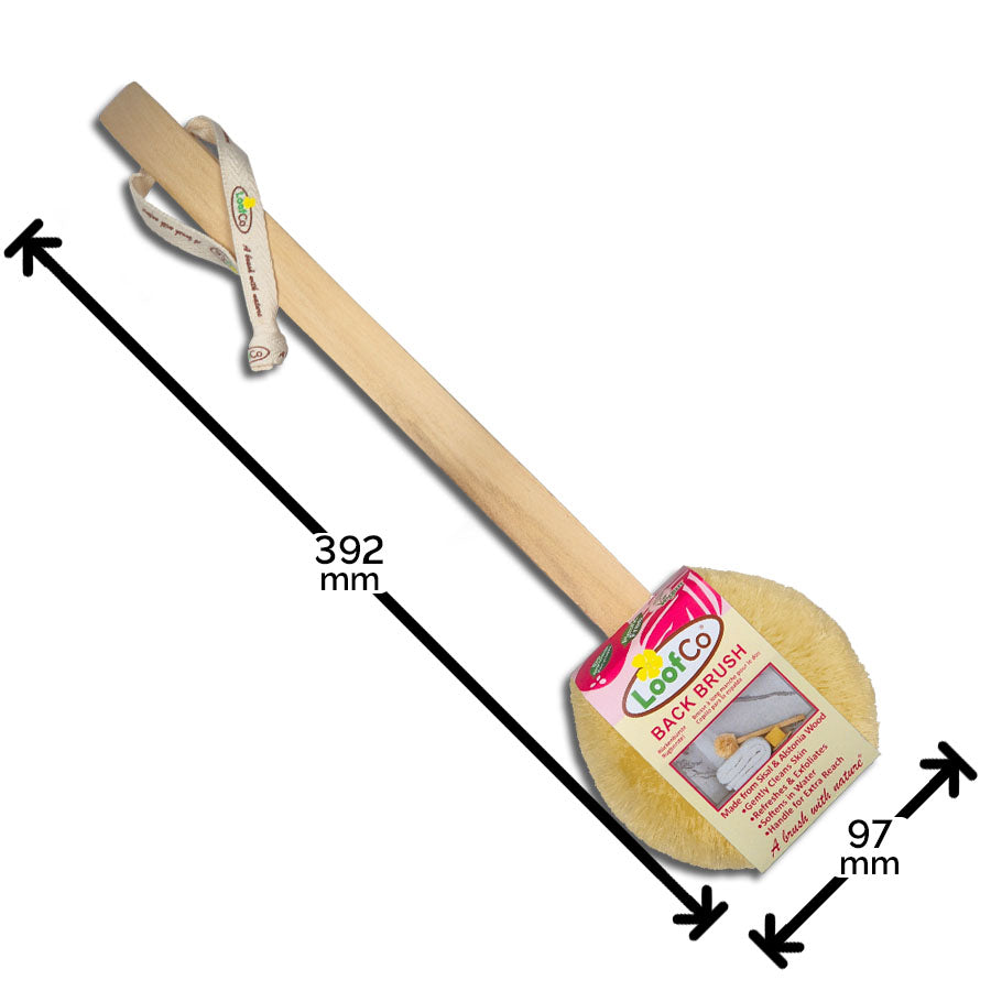 LoofCo Back Brush in packaging with measurements