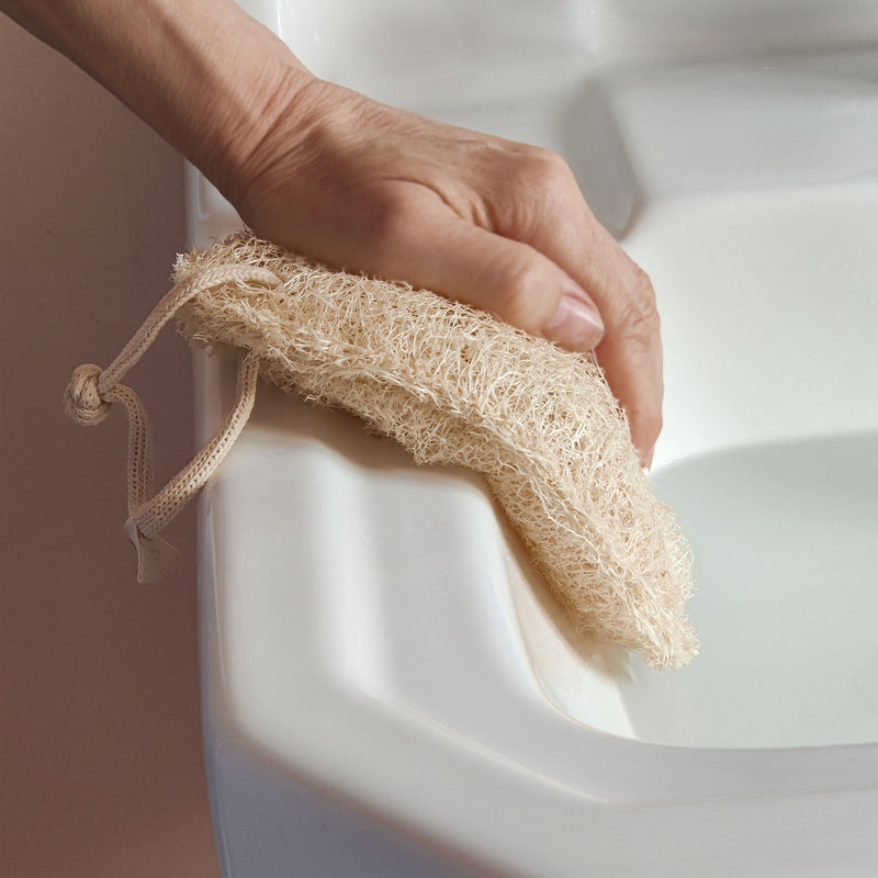 Bathroom Cleaning Pad