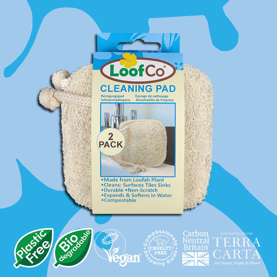 LoofCo Cleaning Pad 2-pack in packaging on blue backfround with sustainability icons