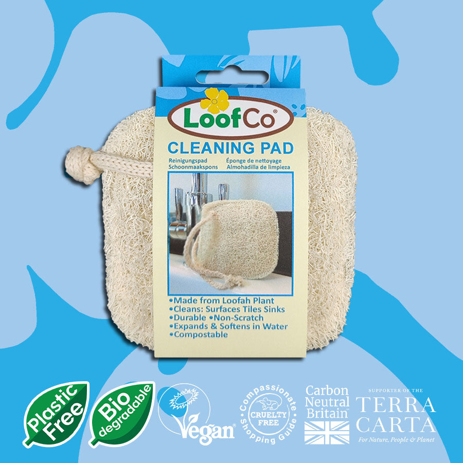 LoofCo Cleaning Pad in packaging on blue background with eco logos