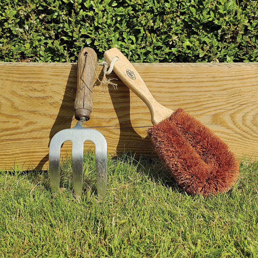 LoofCo Gardener's Brush next to box bush and gardening fork