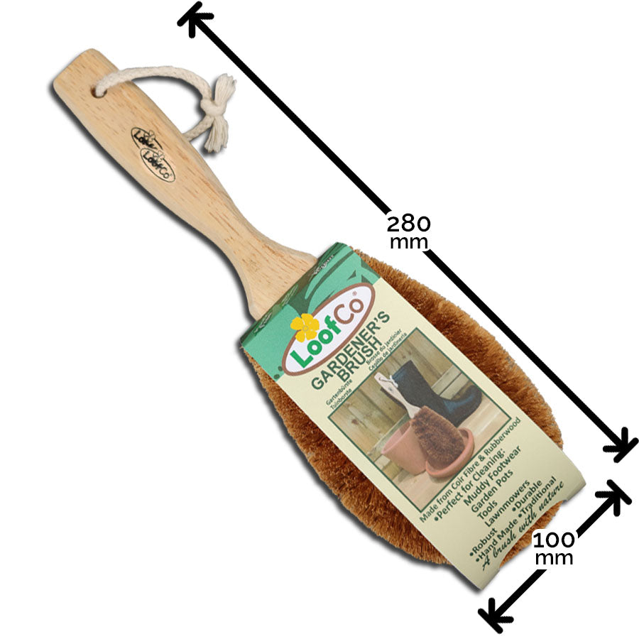 LoofCo Gardener's Brush in packaging on white background with measurements