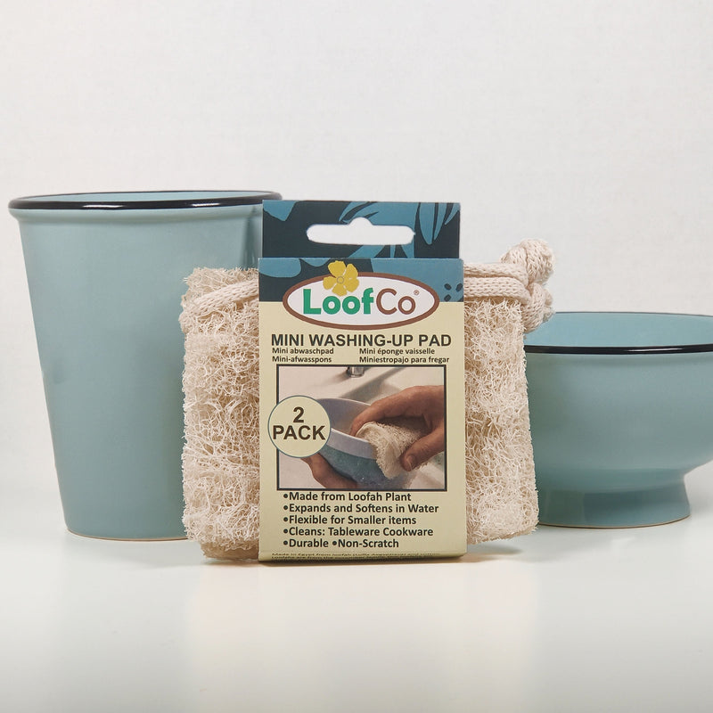 Mini Washing-Up Pad 2-Pack