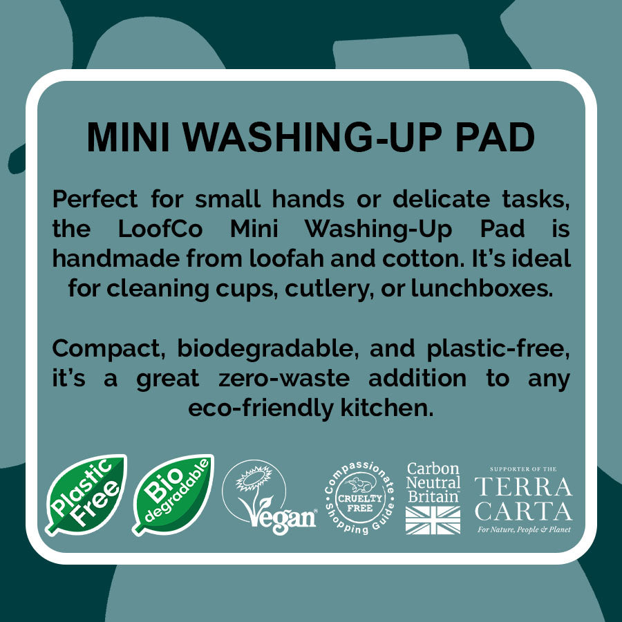 LoofCo Mini Washing-Up Pad 2-Pack visual of product description on blue background with sustainability icons