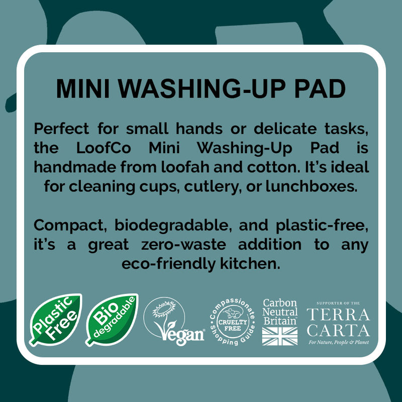 Mini Washing-Up Pad 2-Pack