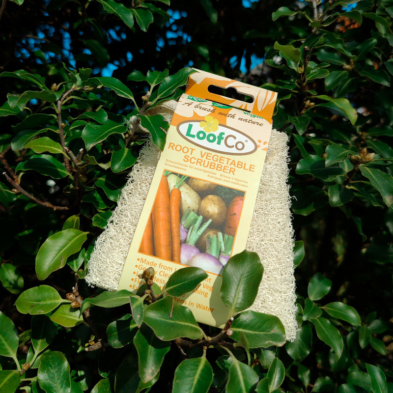 Root Vegetable Scrubber