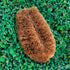 Large coir LoofCo Scrubbing Brush on a green leafy background