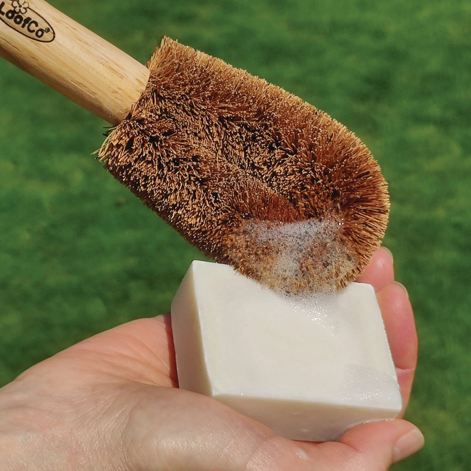 Person holding a LoofCo Washing-Up Brush with handle  against a Washing-Up Soap Bar Fragrance Free  on a green background