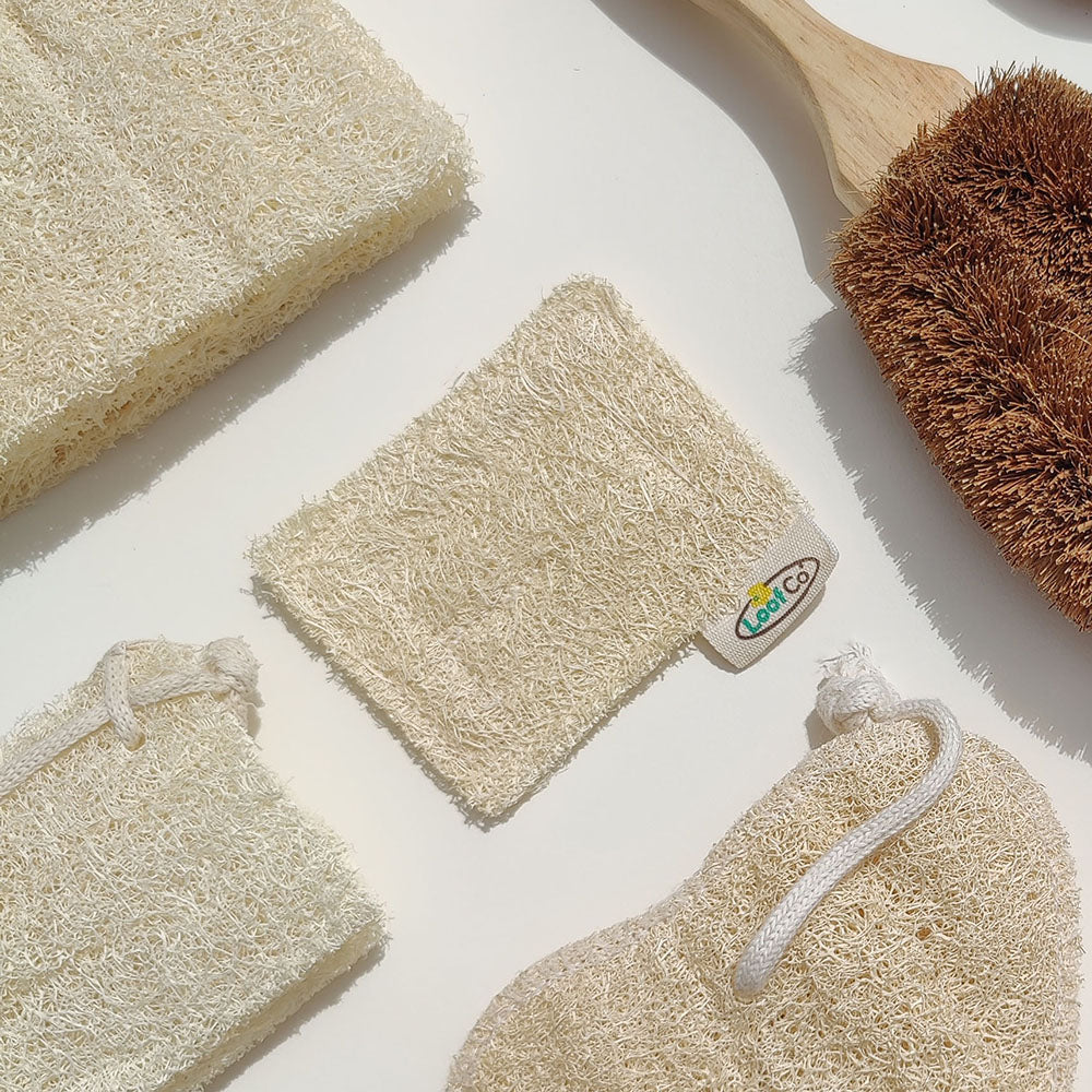 Set of natural cleaning sponges and brush on a light background