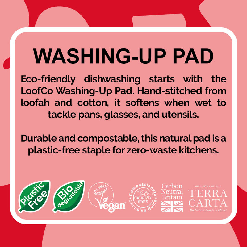 Washing-Up Pad