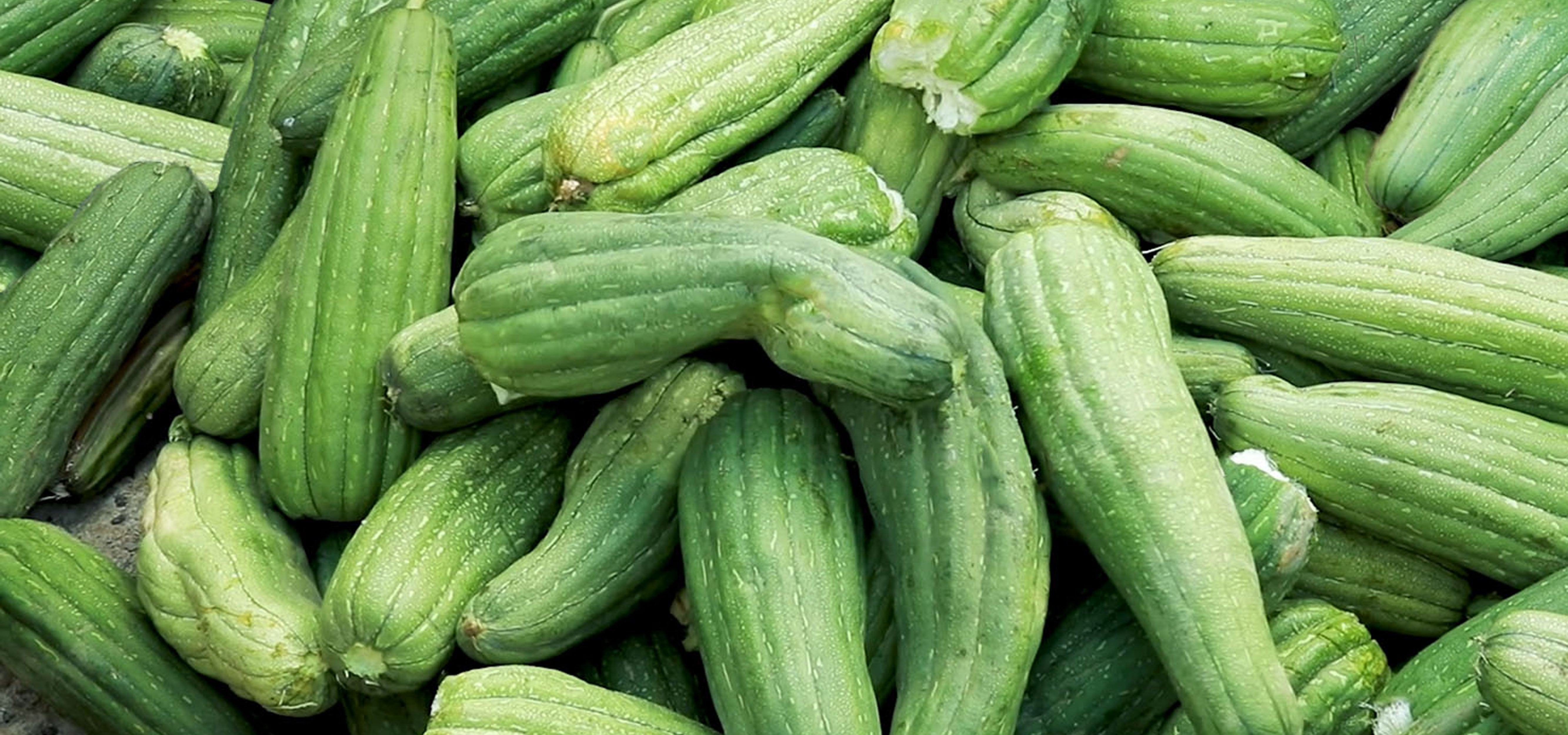 unpeeled loofah gourds 