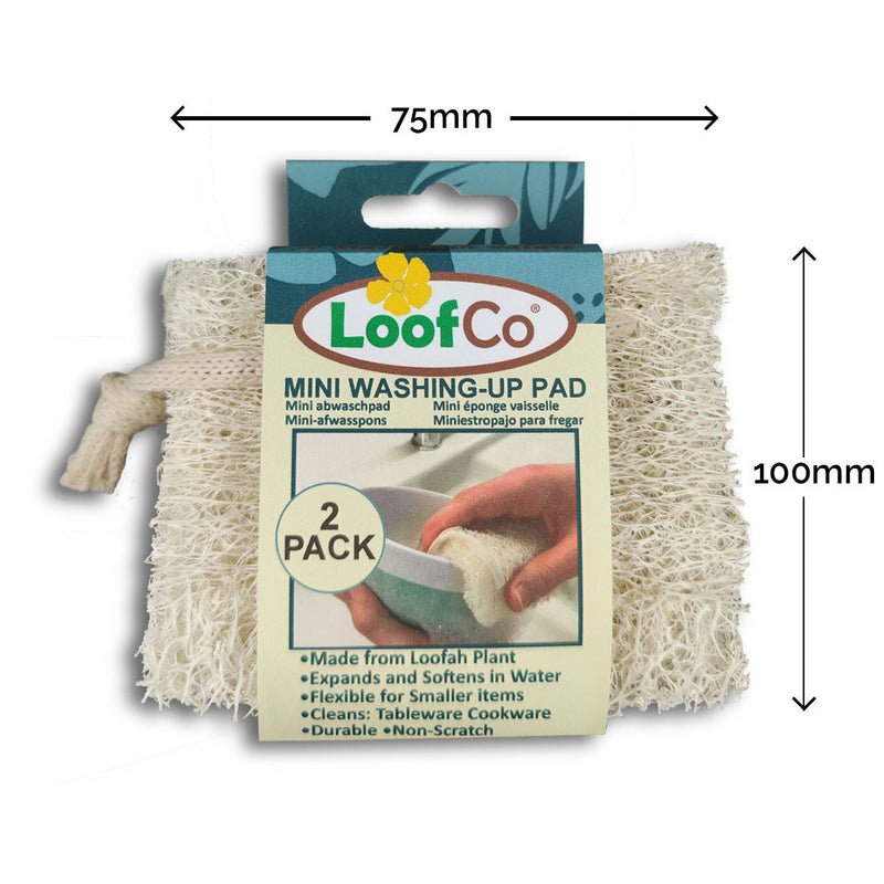 Mini Washing-Up Pad 2-Pack